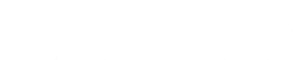 Auto Magic logo